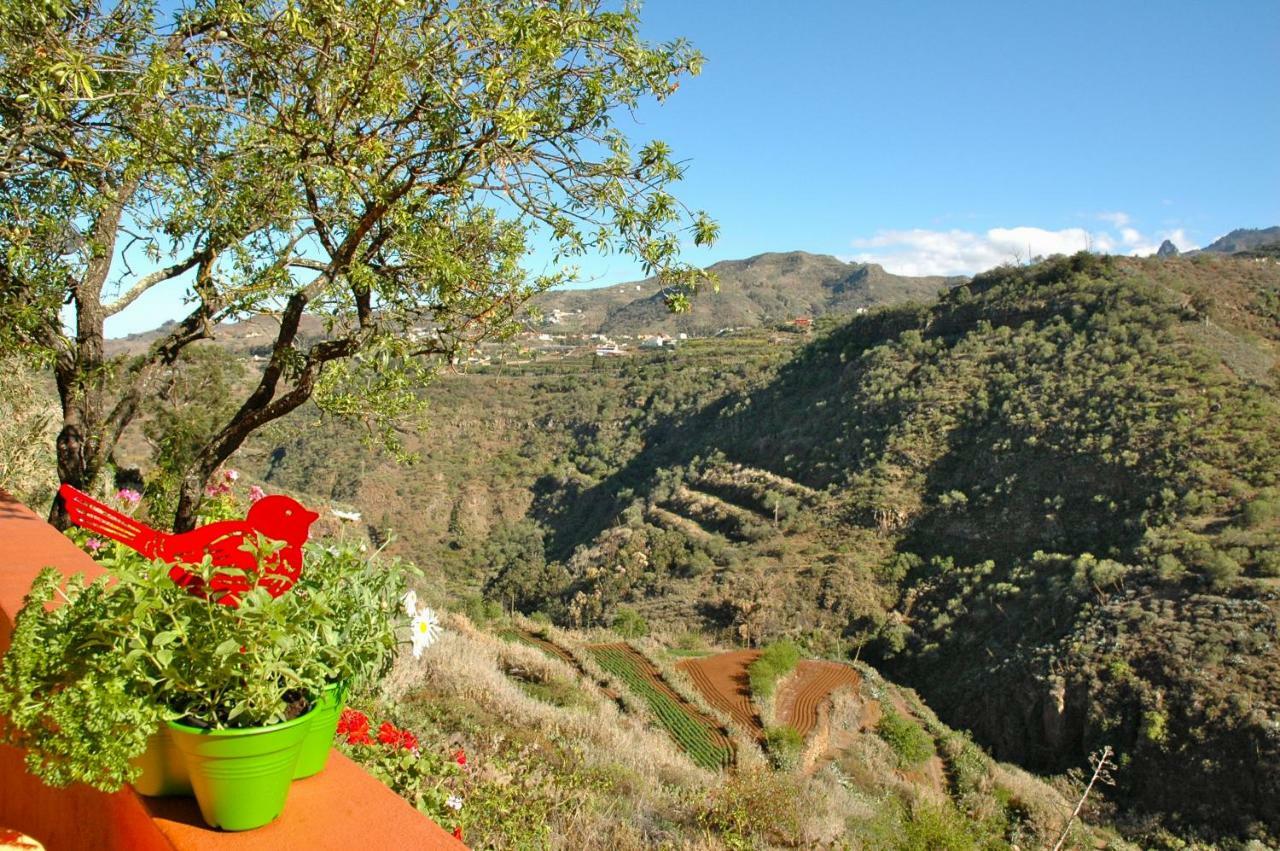 Tres Almendros By I N Z U L A E Villa Vega de San Mateo Buitenkant foto